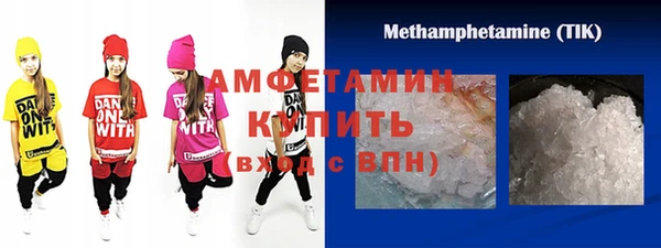шишки Бородино