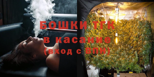шишки Бородино