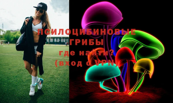 шишки Бородино