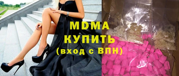 шишки Бородино