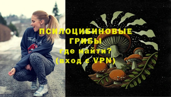 шишки Бородино