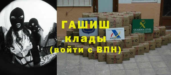 шишки Бородино