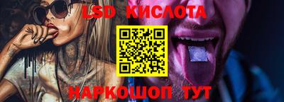 спайс Берёзовский