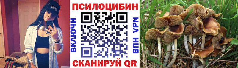 Галлюциногенные грибы Psilocybine cubensis  Бузулук 