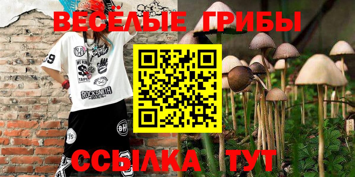 Галлюциногенные грибы мухоморы Бузулук