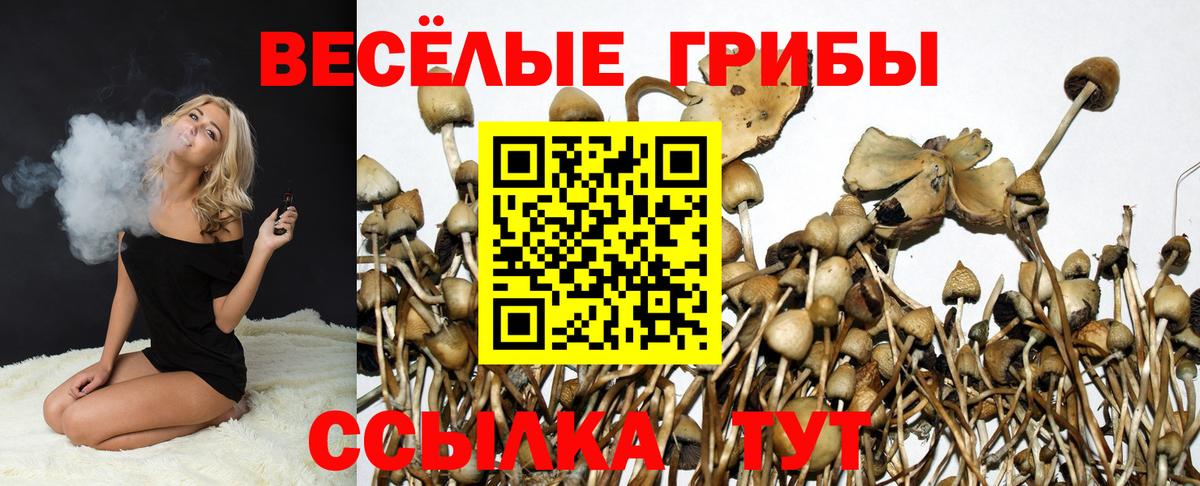 купить наркотики сайты  Вход с VPN  Галлюциногенные грибы GOLDEN TEACHER  Бузулук  Галлюциногенные грибы GOLDEN TEACHER 